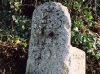 Turnpike Trust milestone