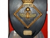 The Scarab shield
